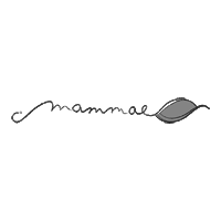 MAMMAE logo