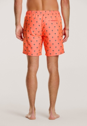 SCRATCH PALM 208/NEON ORANGE
