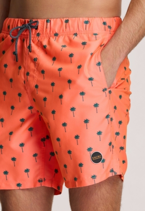SCRATCH PALM 208/NEON ORANGE