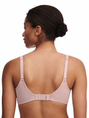 FLORAL TOUCH ENGLISH ROSE