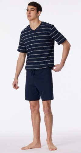  803/BLAUW