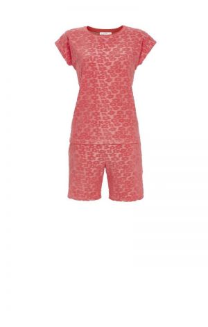  351/LIGHT RED