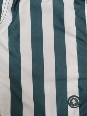 BROAD STRIPE 7835/GREEN LEAF